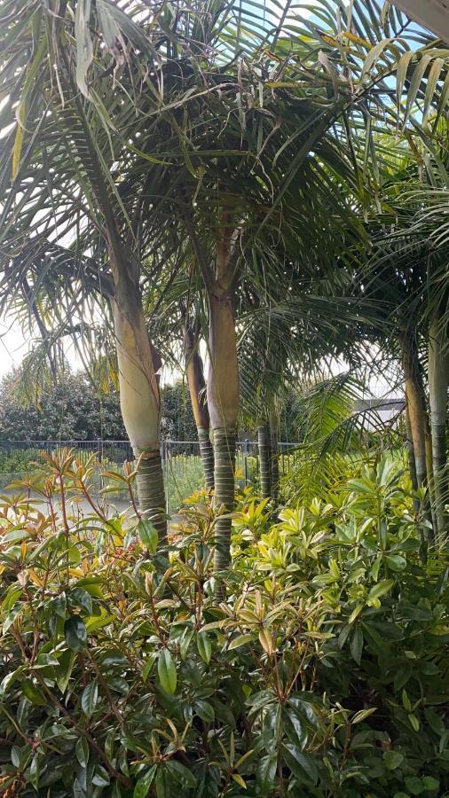 Te Whare Ma Bed & Breakfast Kerikeri Exterior photo